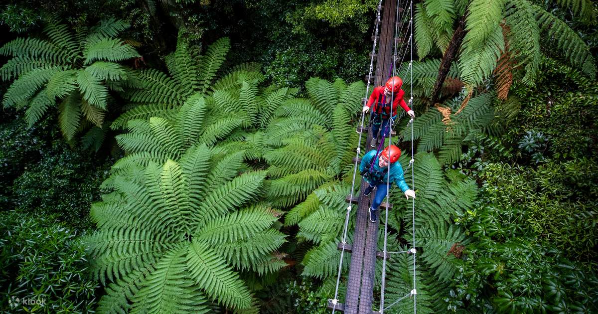 Canopy Tour Zipline Forest Adventure di Rotorua Klook Amerika Syarikat